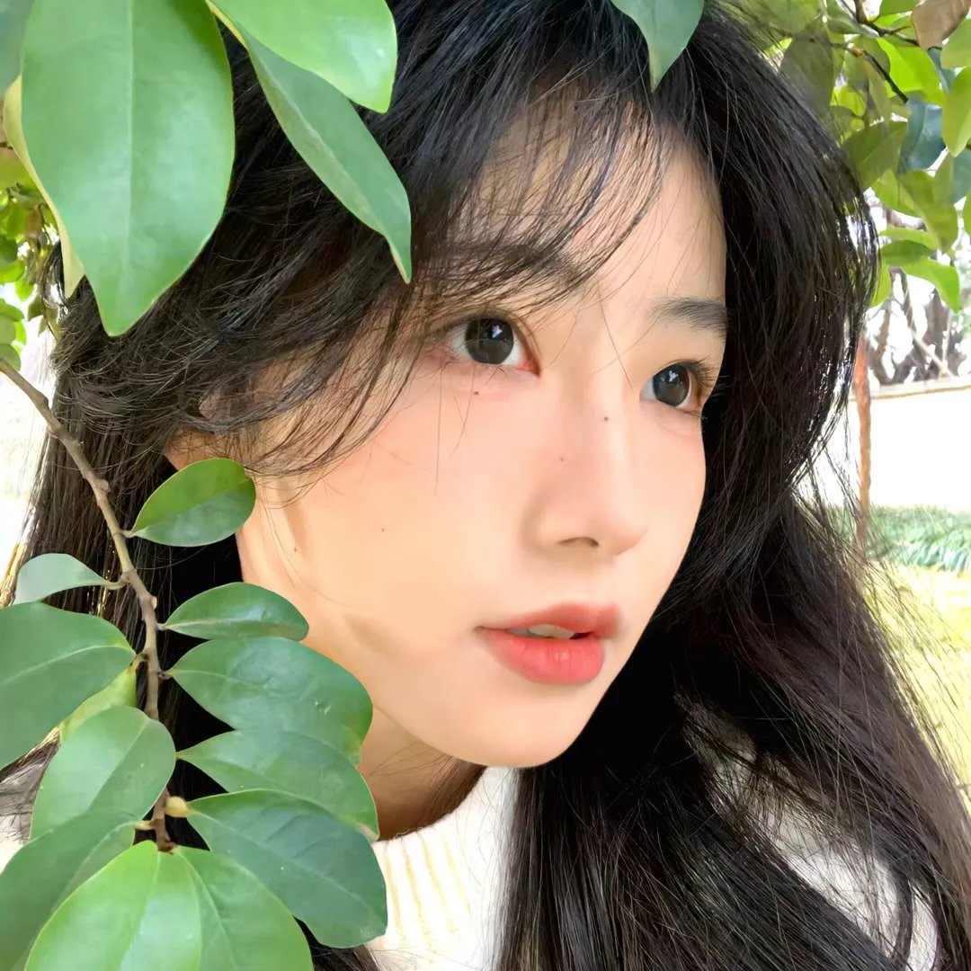 情归延安